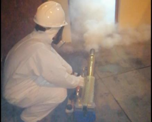 desinsectacion-1