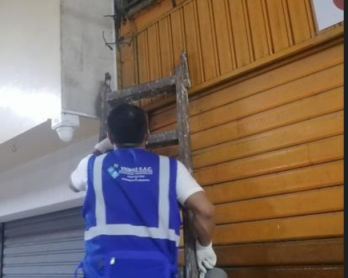 desratizacion-2