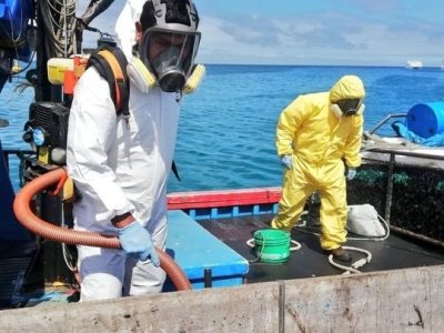 fumigacion-para-importaciones-maritimas