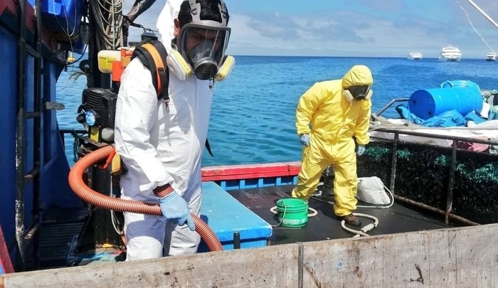 fumigacion-para-importaciones-maritimas