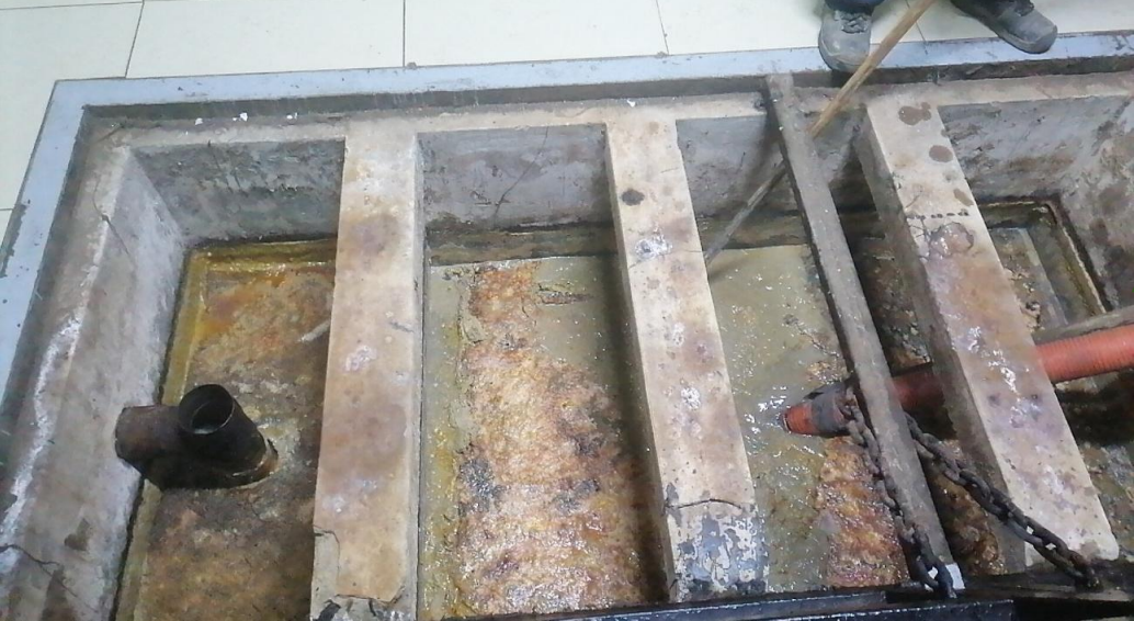 imagen_2024-12-27_174130447